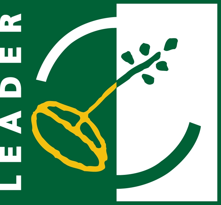 LEADER-logo-Jul09-33.jpg