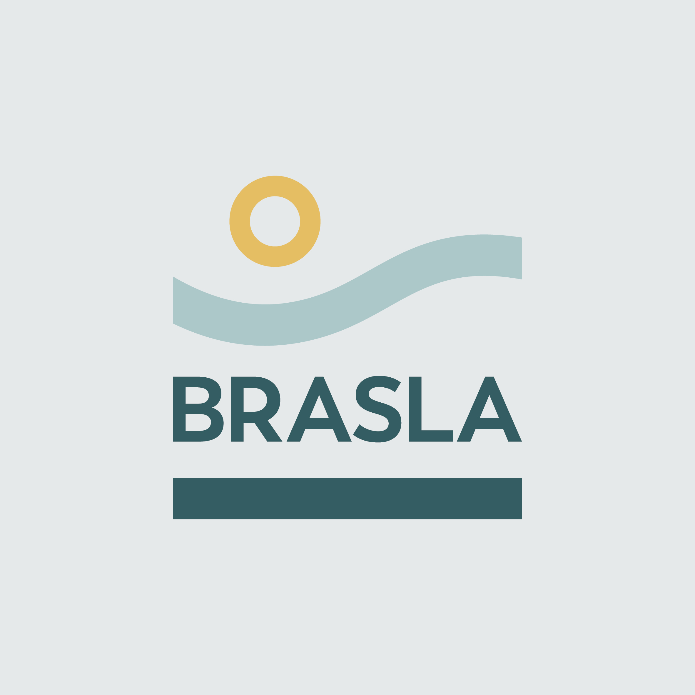 BRASLA-58.jpg
